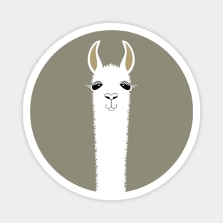 LLAMA PORTRAIT #1 Magnet